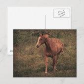 Täter Postkarte (Vorne/Hinten)
