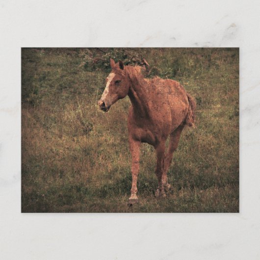Täter Postkarte (Vorderseite)