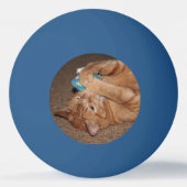 Tater Tischtennisball (Rückseite)