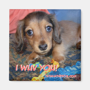 TatianaTheDog Welpenmagnet - I WUV SIE! Magnet