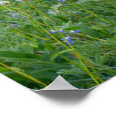 Tatoosh-Bereich und Wildblumen | Rainier Poster (Ecke)