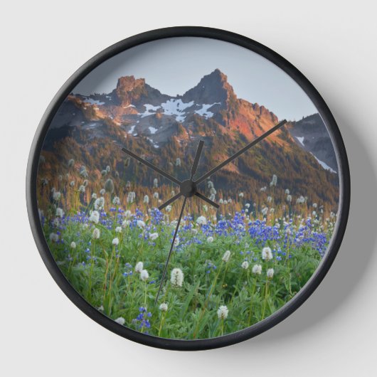 Tatoosh-Bereich und Wildblumen | Rainier Uhr (Vorderseite)