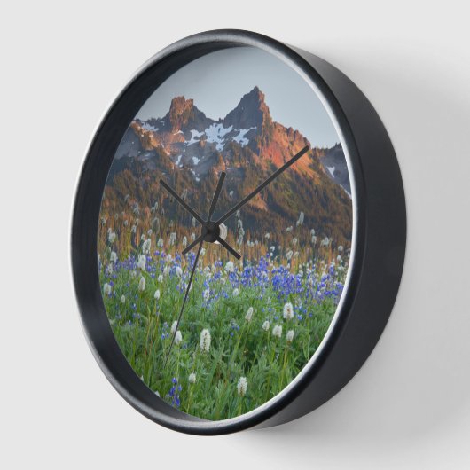 Tatoosh-Bereich und Wildblumen | Rainier Uhr (Winkel)