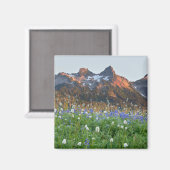 Tatoosh Range und Wildblumen | Mt. Rainier Magnet (Vorderseite/Rückseite)