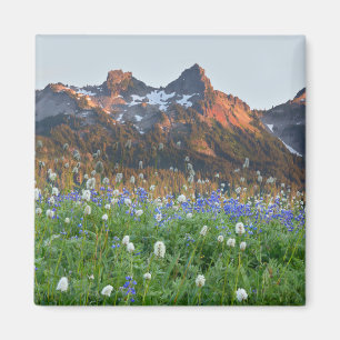 Tatoosh Range und Wildblumen Mt. Rainier Magnet