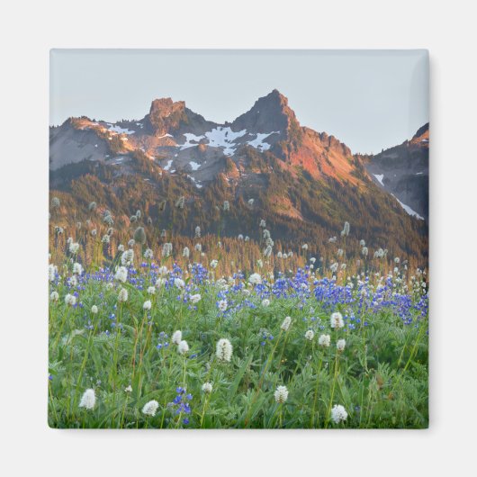 Tatoosh Range und Wildblumen | Mt. Rainier Magnet (Vorne)