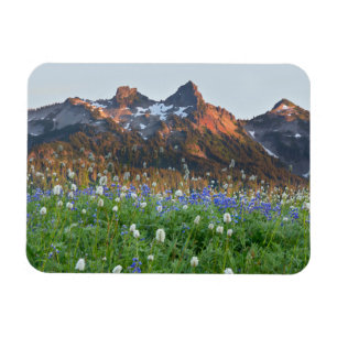 Tatoosh Range und Wildblumen Mt. Rainier Magnet