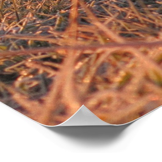 Tatras Poster (Ecke)