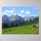 Tatras Rusinowa-Wiese Poster (Vorne)