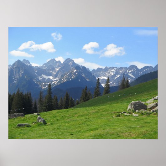 Tatras Rusinowa-Wiese Poster (Vorne)