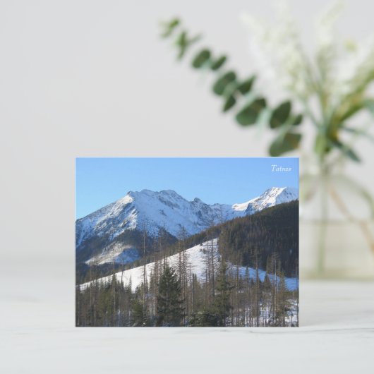 Tatras Winter Postkarte (Stehend Vorderseite)