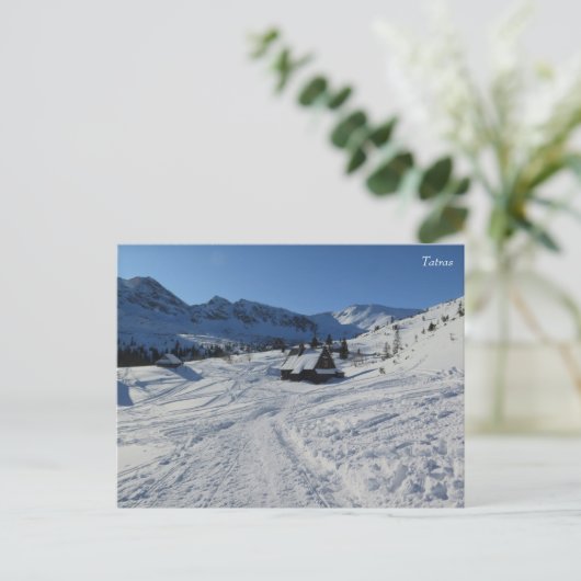 Tatras Winter Postkarte (Stehend Vorderseite)