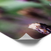 Tattered Poster (Ecke)