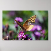 Tattered Poster (Vorne)