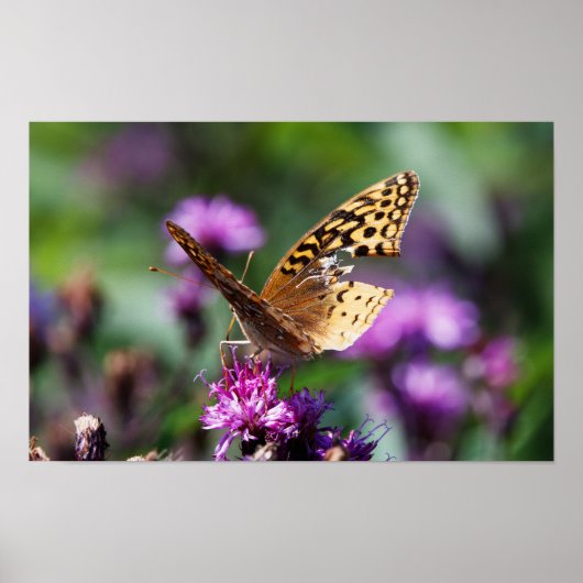 Tattered Poster (Vorne)