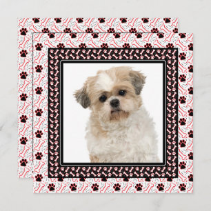 Tatze-ty Hundegeburtstags-Party oder Einladung