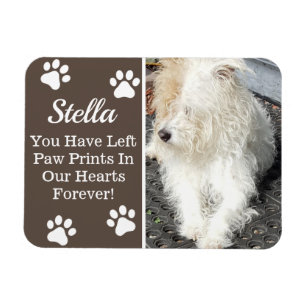 Tatzen-Drucke in unserem Herzen, Verlust des Magnet