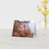 Tatzen für Gedanken-Augen Karte (Gelbe Blume)