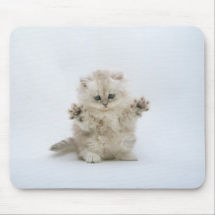 Tatzen oben mousepad