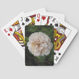 Tau auf einer Blume Spielkarten