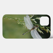 Tau bedeckte Darner Libelle Case-Mate iPhone Hülle (Rückseite (Horizontal))