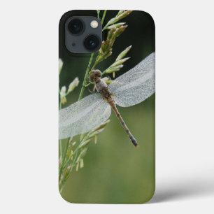 Tau bedeckte Darner Libelle Case-Mate iPhone Hülle