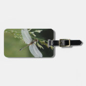 Tau bedeckte Darner Libelle Gepäckanhänger (Vorderseite horizontal)