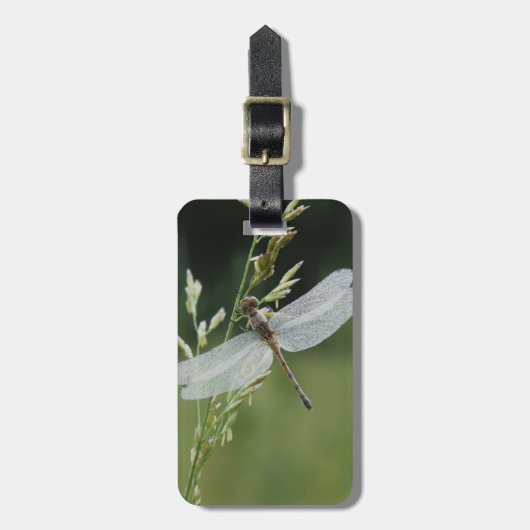 Tau bedeckte Darner Libelle Gepäckanhänger (Vorderseite vertikal)