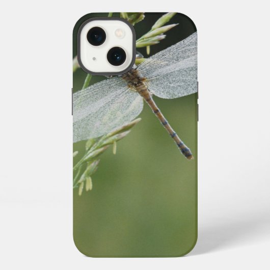 Tau bedeckte Darner Libelle iPhone Hülle (Rückseite)