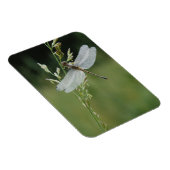Tau bedeckte Darner Libelle Magnet (Rechte Seite)