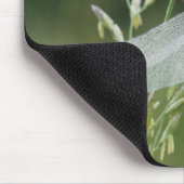 Tau bedeckte Darner Libelle Mousepad (Ecke)