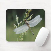 Tau bedeckte Darner Libelle Mousepad (Mit Mouse)