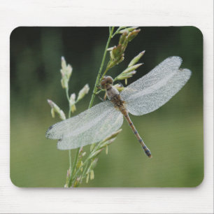 Tau bedeckte Darner Libelle Mousepad