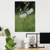 Tau bedeckte Darner Libelle Poster (Heimbüro)