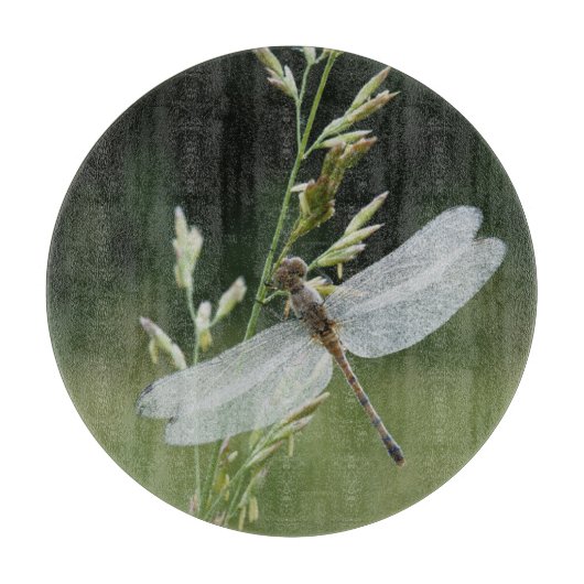 Tau bedeckte Darner Libelle Schneidebrett (Vorderseite)