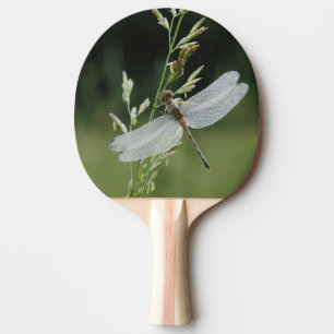 Tau bedeckte Darner Libelle Tischtennis Schläger