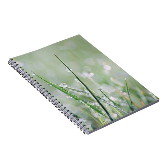 Tau-Bedeckte Gras-Raum-Zeitschrift Notizblock (Rechte Seite)