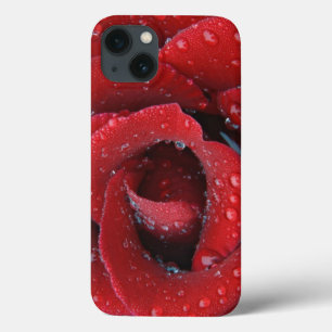 Tau bedeckte rote Rose, die Grabstätte in Case-Mate iPhone Hülle