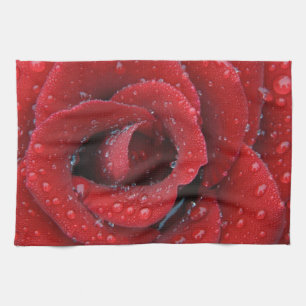 Tau bedeckte rote Rose, die Grabstätte in Geschirrtuch