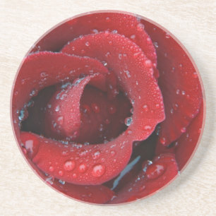 Tau bedeckte rote Rose, die Grabstätte in Sandstein Untersetzer