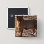 Tau, Löwe, Foto Button (Vorne & Hinten)