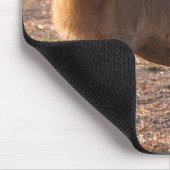 Tau, Löwe, Foto Mousepad (Ecke)