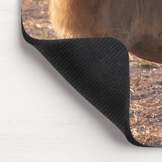 Tau, Löwe, Foto Mousepad (Ecke)