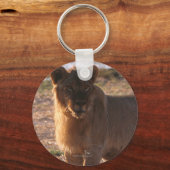 Tau, Löwe, Foto Schlüsselanhänger (Vorderseite)