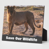 Tau Rette unsere Tierwelt Fotoplatte (Seite)