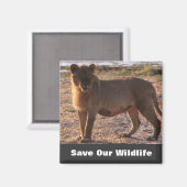 Tau Rette unsere Tierwelt Magnet (Vorderseite/Rückseite)