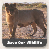 Tau Rette unsere Tierwelt Untersetzer (Vorderseite)