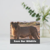 Tau Rette unsere Wildlife Postkarte (Stehend Vorderseite)