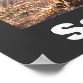 Tau Rettete unser Wildlife Poster (Ecke)