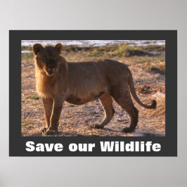 Tau Rettete unser Wildlife Poster